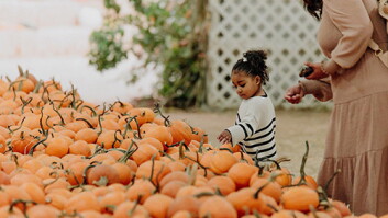 Oma’s Pumpkin Patch