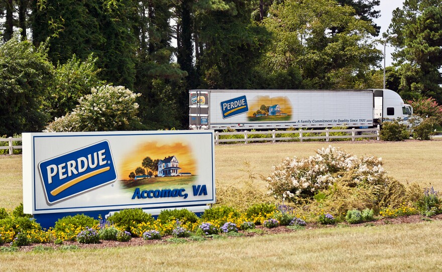 Perdue, the poultry giant, acquired the Niman Ranch name and reputation of raising animals without antibiotics in September.