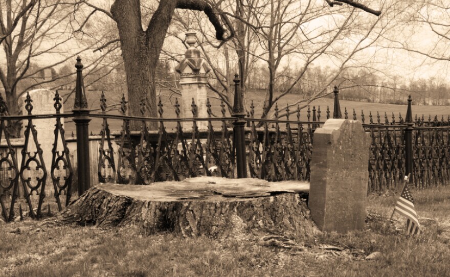We asked you to send us your scary stories, then we told them to an anthropologist.