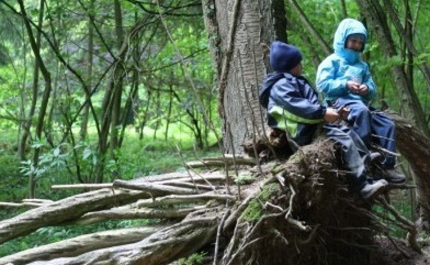 Let 'Em Out! The Many Benefits of Outdoor Play In Kindergarten