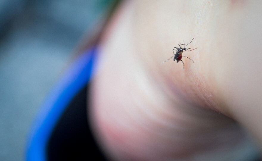 Do your ankles feel like a buffet these days? Test your knowledge of tactics to prevent bites.