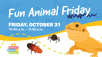 Fun Animal Friday: Spiders, Hissing Cockroaches, and Bearded Dragons