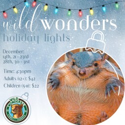 Holiday Lights Tours at Wild Wonders