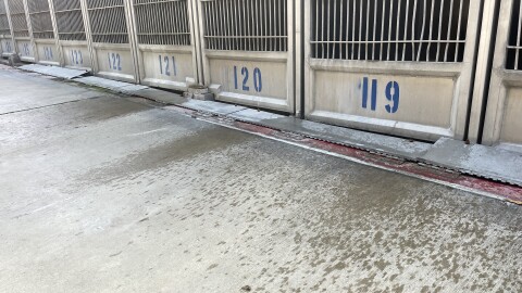 Dog kennels at the San Diego County animal shelter in Bonita with water overspray from an employee cleaning the enclosures with a hose, shown on April 24, 2026.