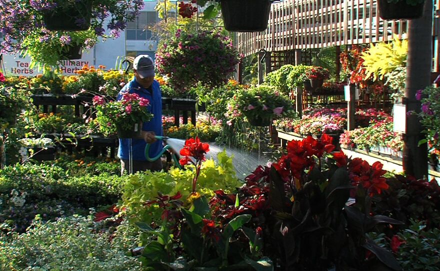 Agriculture Sees Modest Gains, Driven By Avocados KPBS Public Media