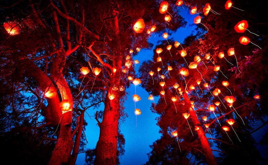 "Floraison," part of "Lightscape," is shown installed at the San Diego Botanic Garden in a previous year.