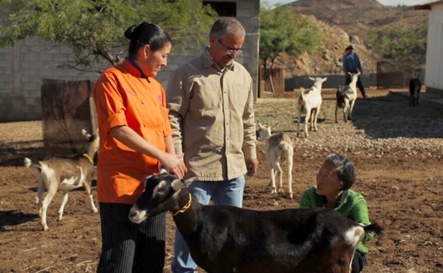 Chef Su-Mei Yu (right), Arturo Santana (center) of Valle 34, and Rancho La Puerta chef Denise Roa (left) at Valle 34 Goat Farm.