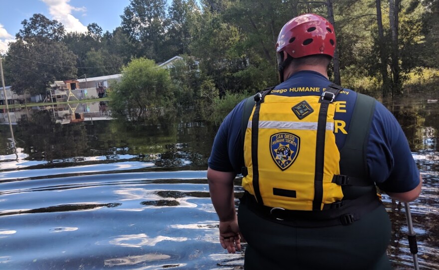 A member of San Diego Humane Society’s Emergency Response Team helps search for animals impacted by Hurricane Florence in in Horry County, South Carolina, September 19, 2018.