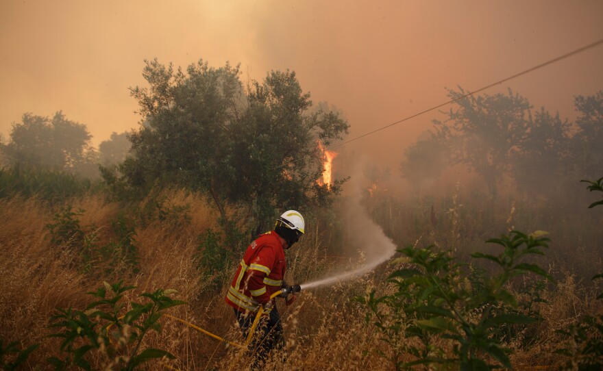 A firefighter battles a fire in Leiria district, in central Portugal. The forest went up in flames during a 2017 heatwave.