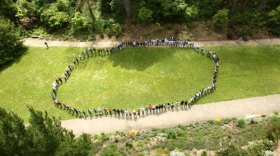 The National AIDS Memorial Grove, located in San Francisco’s Golden Gate Park, is a dedicated space in the national landscape where millions of Americans touched directly or indirectly by AIDS can gather to heal, hope, and remember.