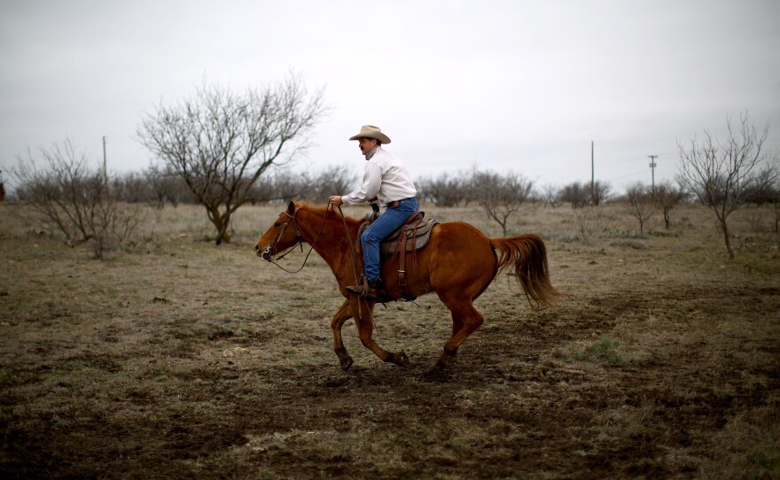 Donnell Brown is the fifth generation of Browns to run the family ranch, which encompasses 6,000 acres of cactus, mesquite and pastures in North Texas.