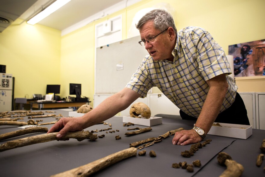 Doug Owsley, a forensic anthropologist at the Smithsonian's National Museum of Natural History, studies every detail of the skeletons.