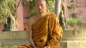 A monk at Bodhgaya. Sixty years after India secured independence, Michael Wood sets out on an epic journey "over 10,000 years and 10,000 miles" to uncover the fabulous sights and sounds, the dazzling achievements and the dramatic history of an ancient, prosperous and influential civilization.
