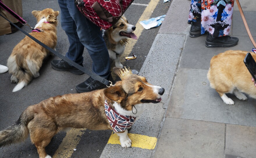 People celebrate the Queen's Platinum Jubilee at a street party in Colombia Road, Tower Hamlets, in London.