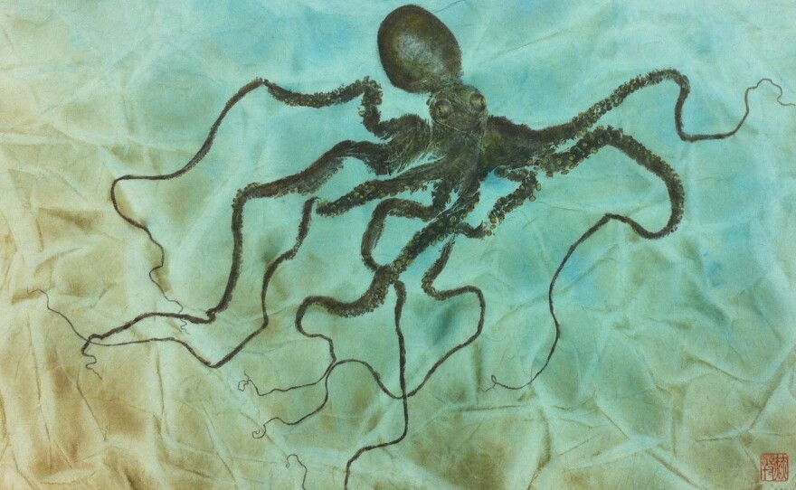 Octopus
