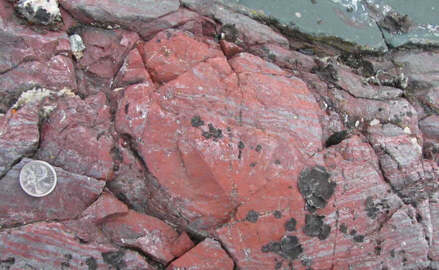A layer of rock from the Nuvvuagittuq Supracrustal Belt, Québec in Canada, contains string-like shapes that could be the remains of life forms from 3.7 billion years ago.