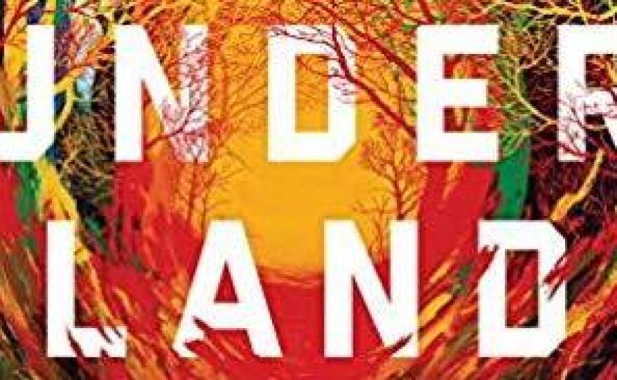 Underland: A Deep Time Journey, by Robert Macfarlane