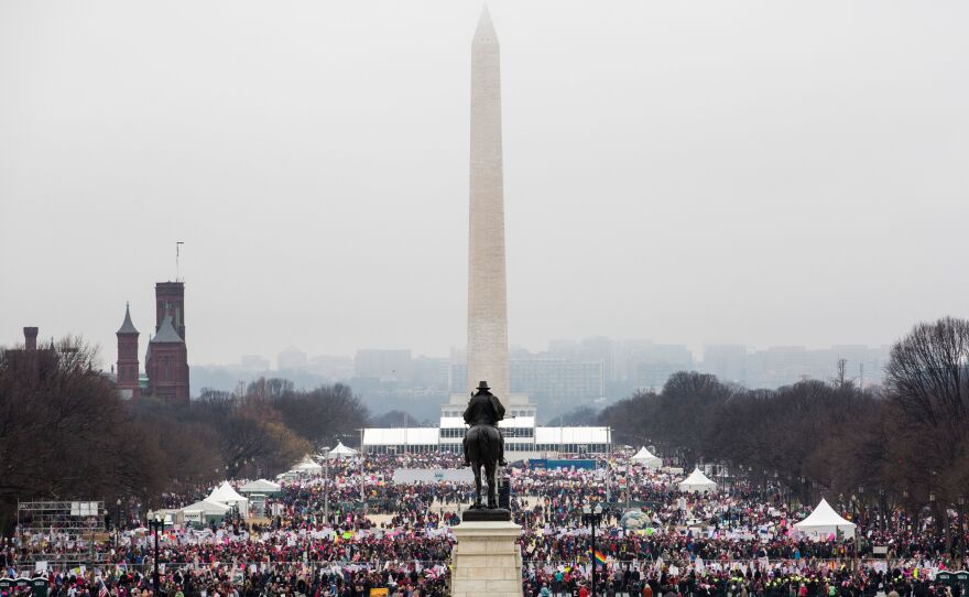 Protesters crowd the National Mall in Washington, D.C., during the Women's March on Washington.