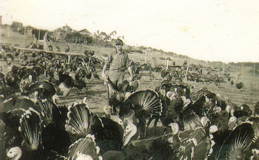 On this episode of KEN KRAMER'S ABOUT SAN DIEGO, we remember a vast turkey ranch (pictured), which once thrived in what is today a busy urban part of the City of San Diego. (undated photo)