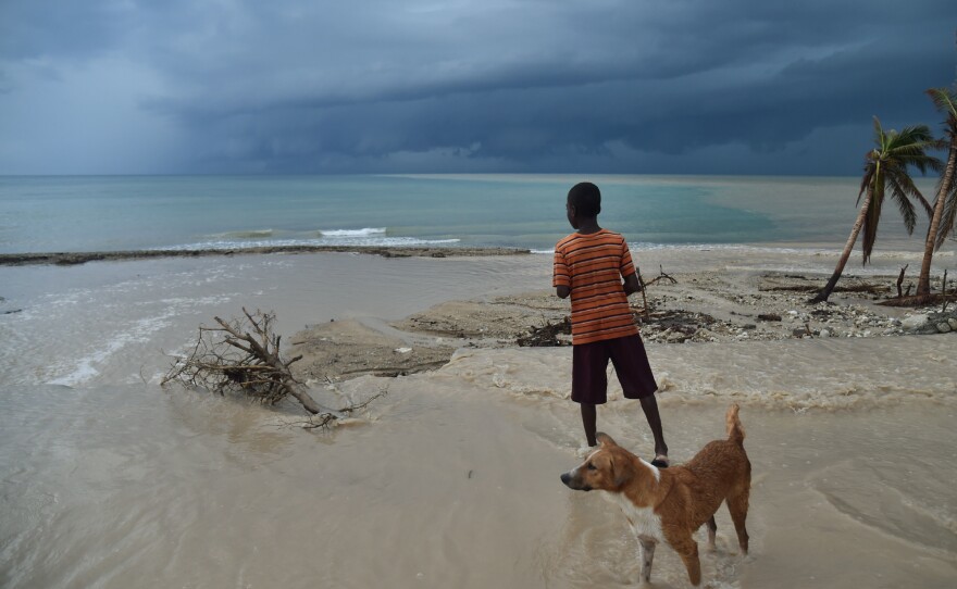 A new coronavirus identified in Haiti (and in Malaysia) likely came from dogs. Above: A child and a dog in Haiti.