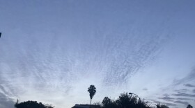A palm tree and clouds over South Park in San Diego, Calif. on Dec. 23, 2020.