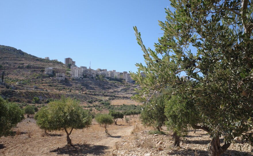 The historically Christian village of Al Ghassaniyeh, seen from olive groves at its foothills. After the old regime was ousted last December, displaced residents who returned to the village found strangers living in their homes.