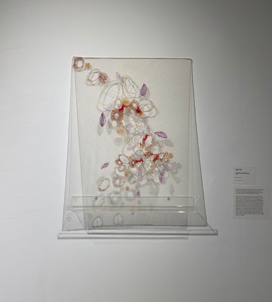 A clear acrylic panel is embroidered with colorful loops, vines and leaves in purples, reds, oranges and creams, representing traumatic brain injury. The panel is offset from the wall so the multi-angled gallery light casts intricate shadows behind the acrylic on the wall.