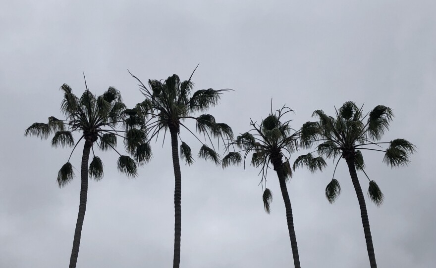 Palm trees against a cloudy sky in the Golden Hill neighborhood of San Diego, Calif. June 28, 2023.