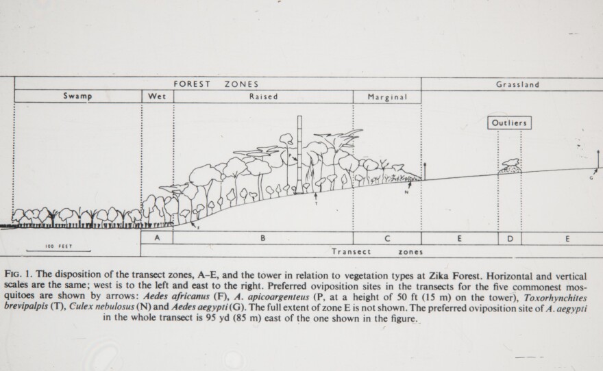 This diagram depicts the six-story tower (in the center of the drawing) where volunteers would wait for mosquitoes to alight. Researchers would then catch the insects and drop them into test tubes.