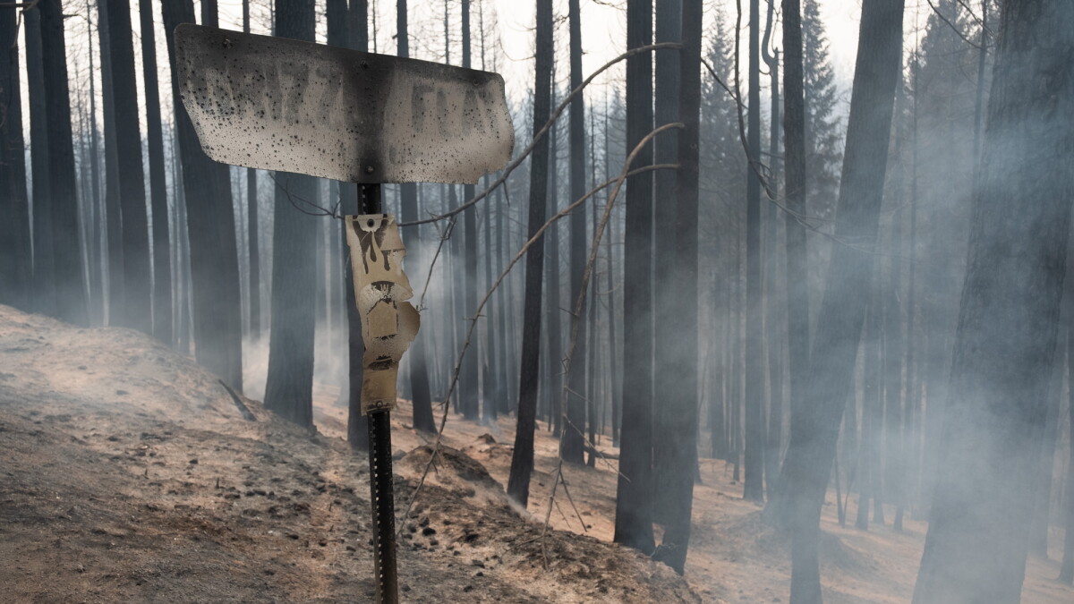 Stalled US Forest Service project could have protected California town from Caldor Fire destruction - Vimarsana News