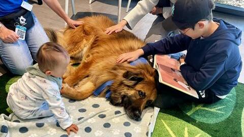 Paws & Tales Reading Program