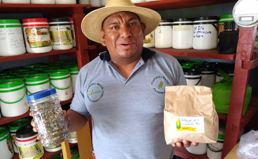 Esvin López oversees the USAID-funded seed reserve in the Guatemalan village of Quilinco. He holds a jar of seeds he's collected for research and a bag of hybrid seeds for cornstalks that can cope with climate-related challenges like windstorms.