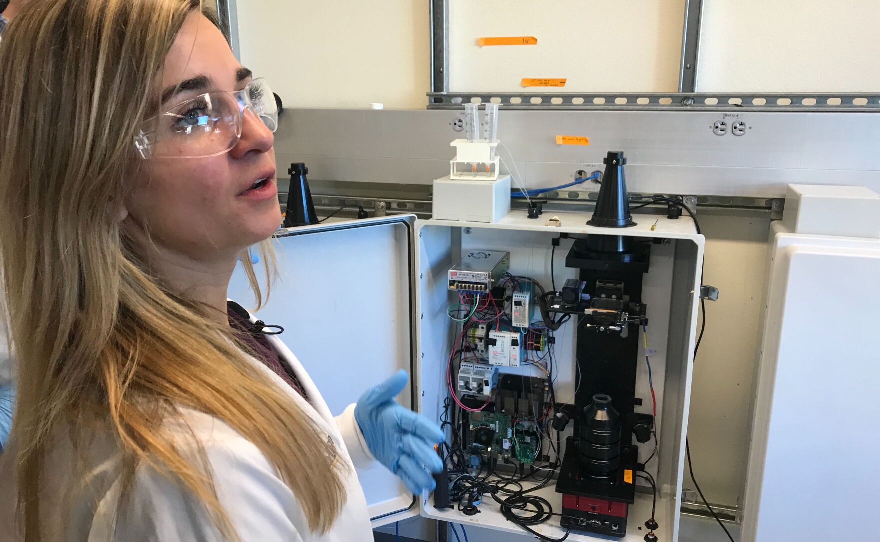 Bacteria At The Water Fountain How San Diego Scientists Use E. Coli To