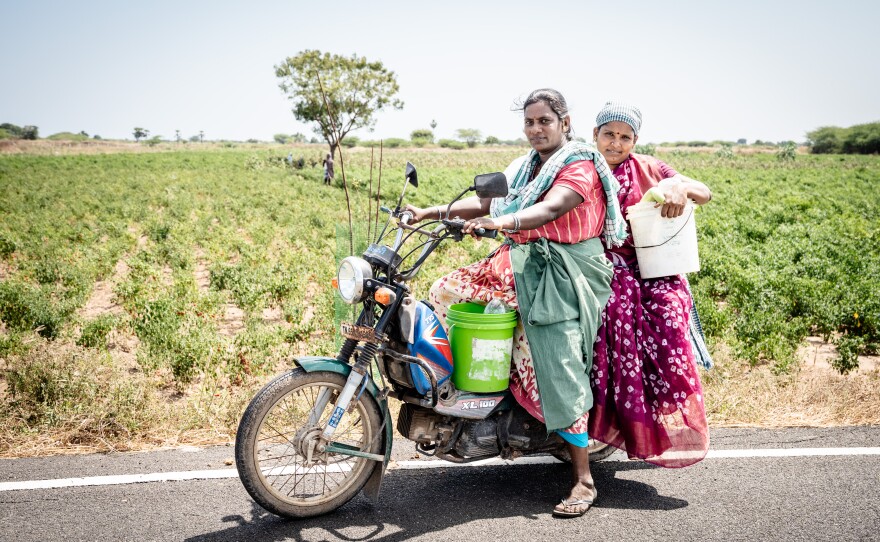 Victoria, 39 (steering the bike) and Vasuki, 38, are chile farmers from Mattiyarenthal village. They zip out to the fields at 8 a.m. each morning on their scooter and work till 2 p.m., plucking the ripe chiles.