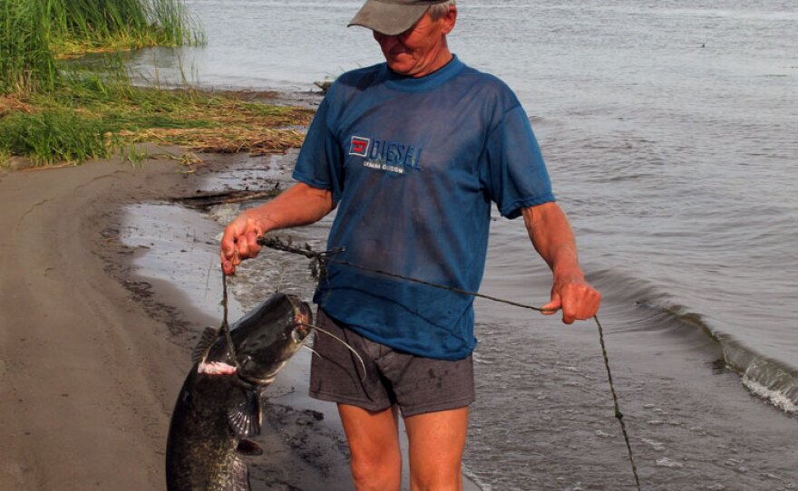 Gennady Anatolievich, 70, shows off a prize carp at his fishing camp near the city of Saratov  on the Volga. For six months, when the river isn't frozen, the pensioner and his wife live in makeshift tents on the river shore, smoking fish over a wood fire and growing a vegetable garden.