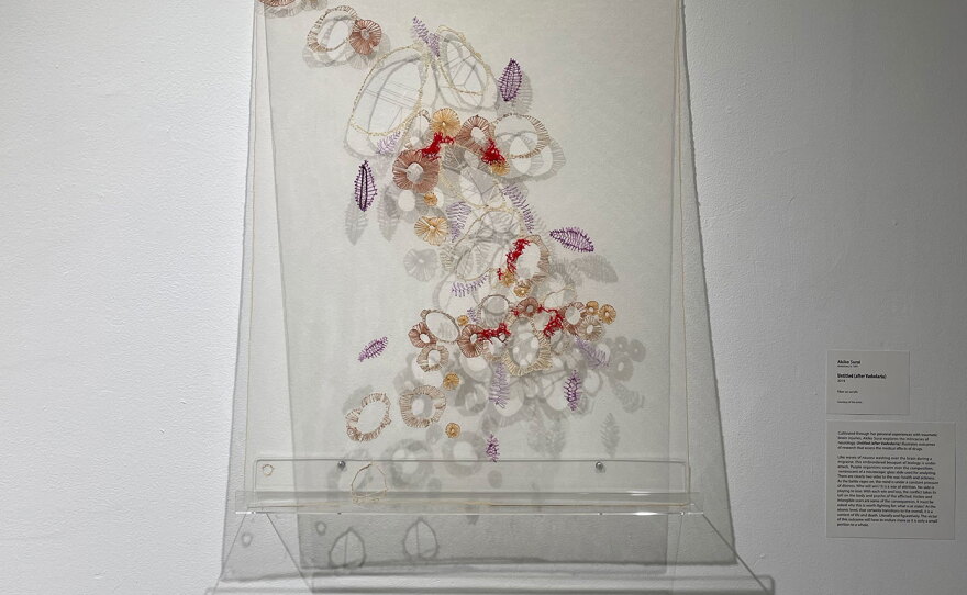 A clear acrylic panel is embroidered with colorful loops, vines and leaves in purples, reds, oranges and creams, representing traumatic brain injury. The panel is offset from the wall so the multi-angled gallery light casts intricate shadows behind the acrylic on the wall. 