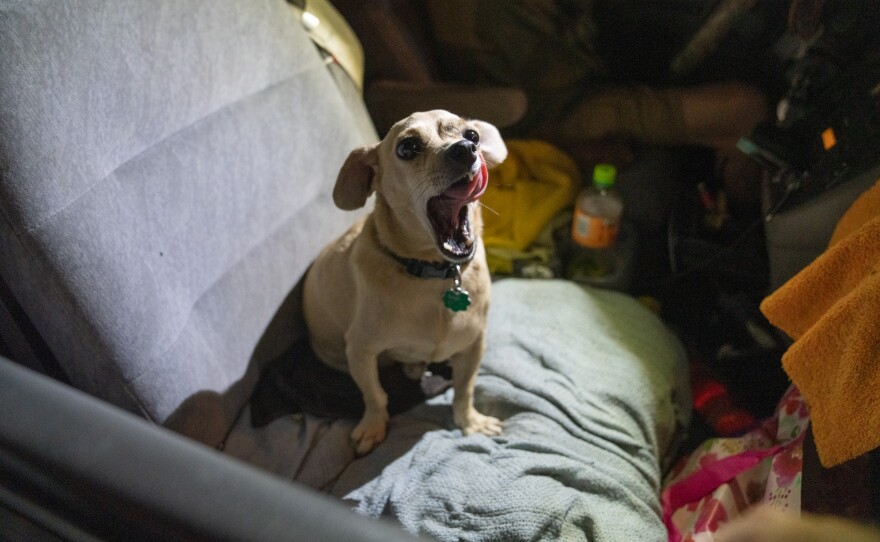 Glencross' dog Blue is his companion while he sleeps in his van after losing his home to the fire.