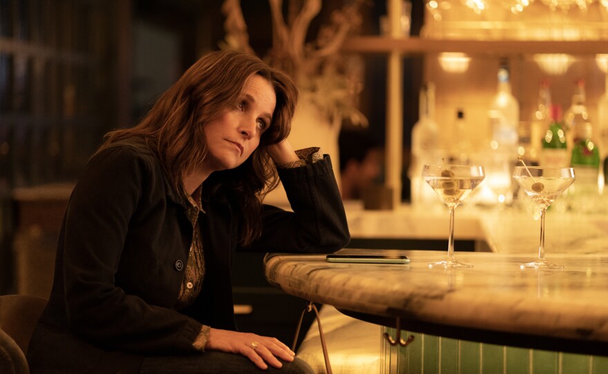 Julia Louis-Dreyfus plays a writer whose husband hates the novel she's working on in <em>You Hurt My Feelings.</em>