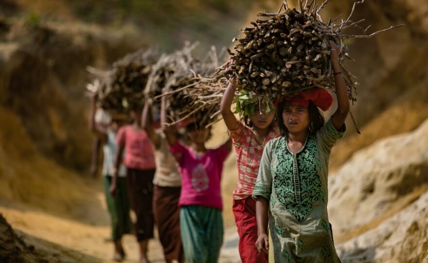 Rohingya children carrying firewood into the Kutupalong camp in Bangladesh. Refugees have stripped almost all the area vegetation to use in cooking fires.