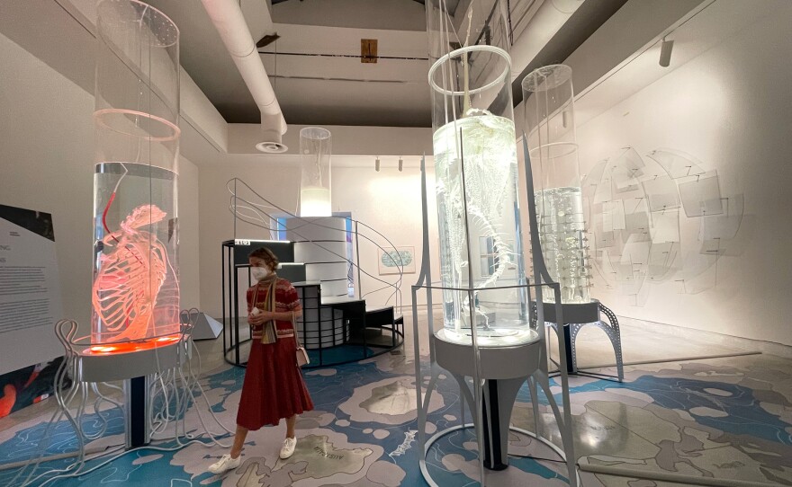 A visitor walks through Pinar Yoldas' exhibit, "Hollow Ocean 2048" at the Venice Architecture Biennale on May 20, 2021.