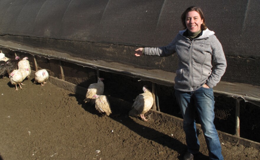 Local farmer Kate Stillman decided to build her own abattoir because, she says, a lack of processing facilities is "a huge problem for all New England farmers."