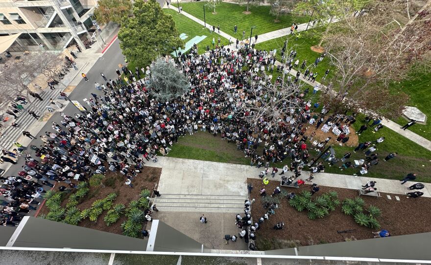 An aerial view of a rally for Gaza at UCSD in San Diego, Calif. March 6, 2024.