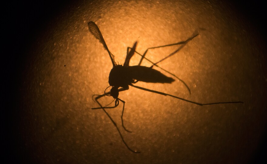 While some scientists seek ways to stop the spread of Zika by mosquitoes, others have received new funding from the National Institutes of Health to track the genes and habits of the virus itself.