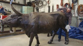 A statue of a Texas Longhorn that will be part of the Tejano Monument scheduled to open in Austin, Texas in 2012.