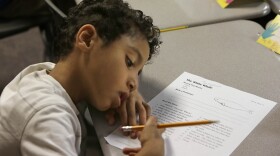 Second-grader Tammer Ali does a worksheet in an English Language Learner summer school class at the Cordova Villa Elementary School in Rancho Cordova, east of Sacramento, June 12, 2013. 