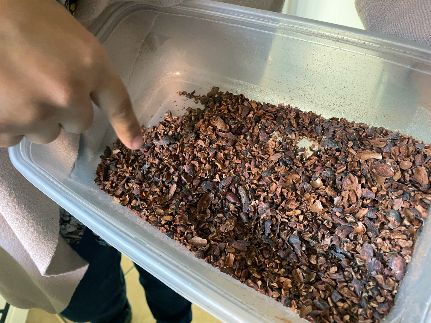 Sorting cracked cacao beans at Raíz Chocolate.