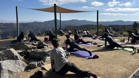 Connect to Nature: Yoga + Guided Hike Series