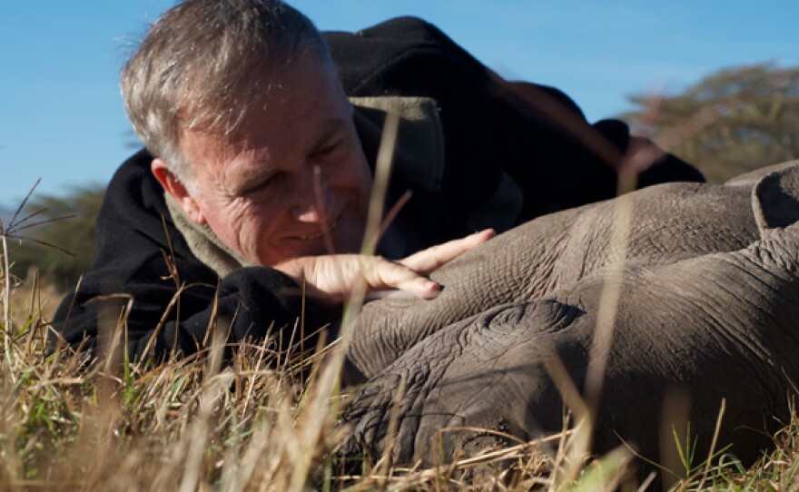 Mike Condy stroking the rhino.