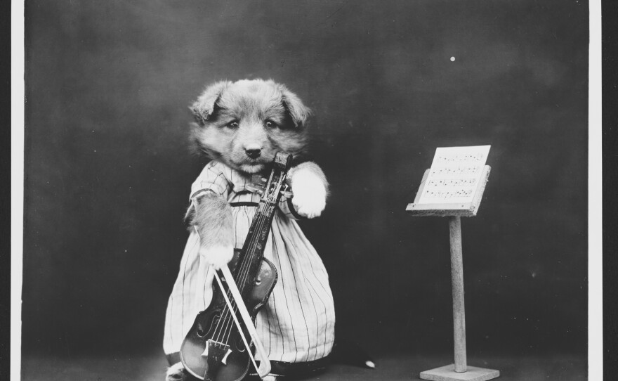 "The Fiddler," 1914