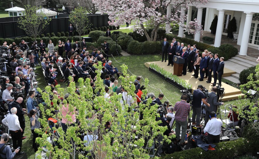 President Trump speaks during a news conference about the coronavirus pandemic in the Rose Garden of the White House on March 13.